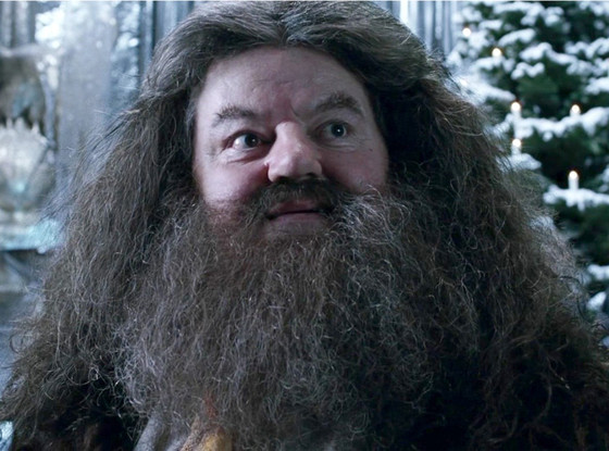 Hagrid Hospitalized Harry Potter Actor Falls Ill During Flight